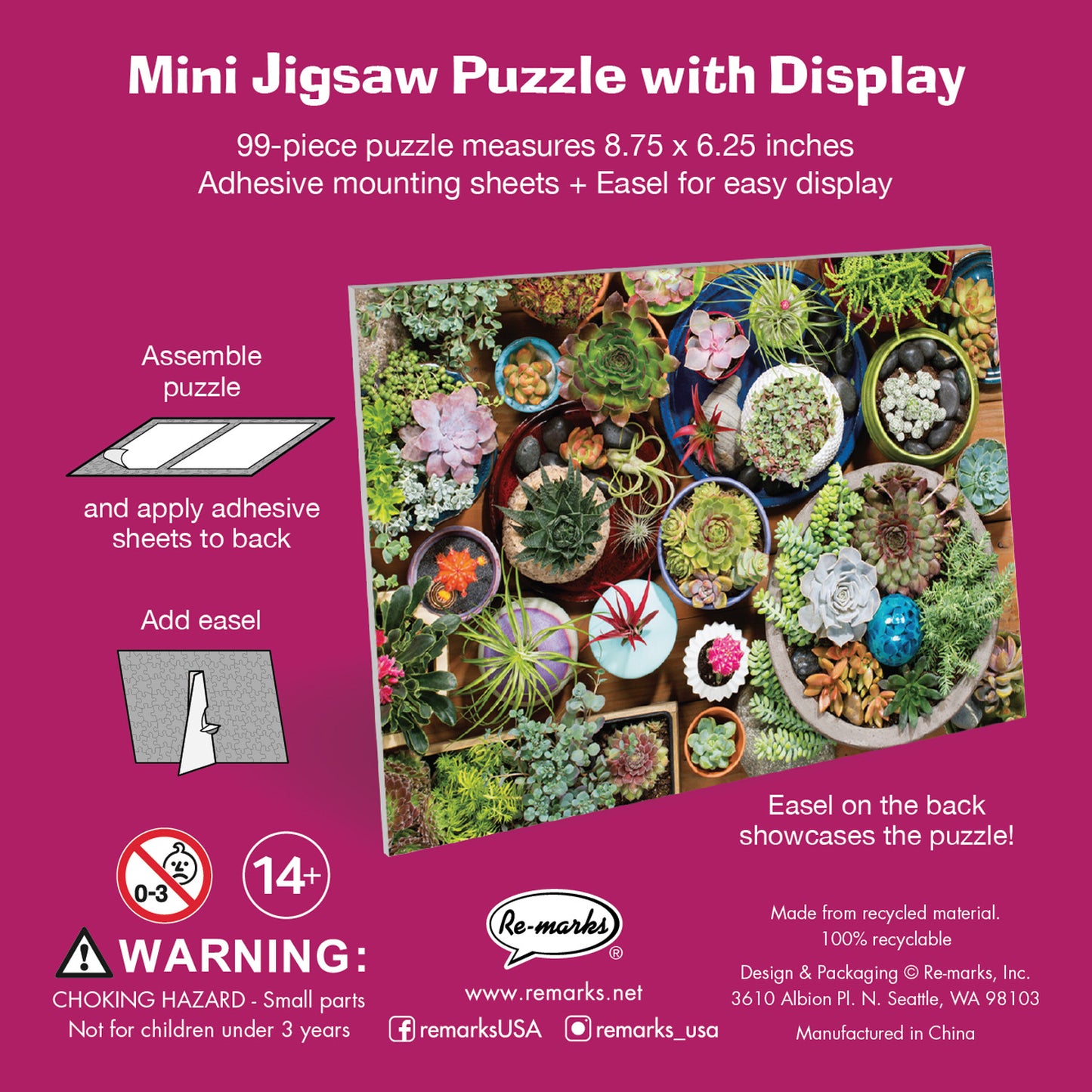 Succulents Mini Puzzle Kit - 99-Piece Puzzle with Display Kit